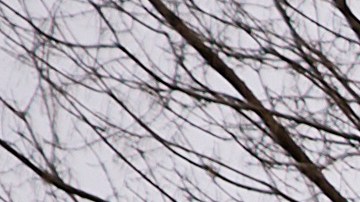 Environmental And Health Concerns Grow In East Palestine, Ohio After Derailment Of Train Cars Containing Hazardous Material