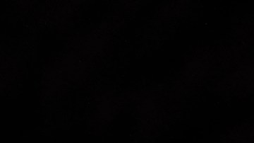 Perro encontrado en los escombros de Turquía.