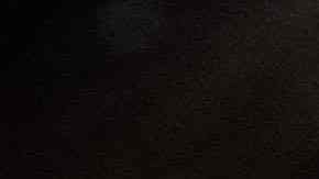 Huesos de animales para esquiar en China