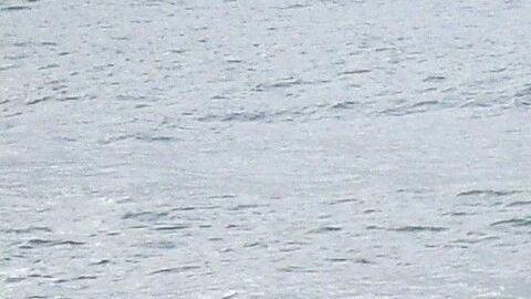 32 menores entre los 80 muertos confirmados tras el naufragio de un bote con migrantes.