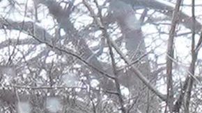 No se esperan que haya inundaciones en la ciudad de Nueva York, pero puede que haya algunas en la costa.