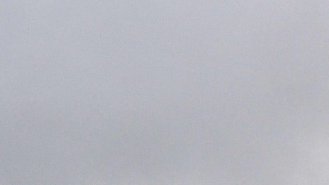 La ciudad de Nueva York ha tenido poca nieve esta temporada invernal.