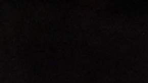 Conor McGregor estuvo presente en la pelea de Alexa Grasso. / Foto: Getty Images.