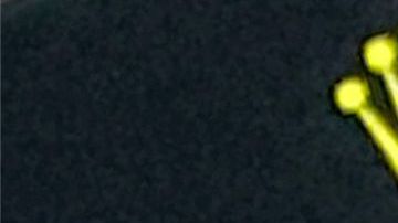 Pérez y Verstappen fueron los más destacados del GP de Baréin.