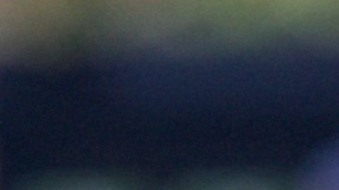 Xander Bogaerts celebrando la victoria de su equipo.