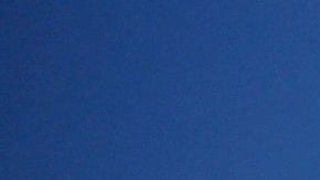 El hombre no identificado fue arrestado aproximadamente a las 10 am del pasado sábado.