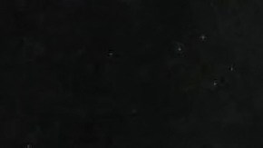 Pep Guardiola (I), Erling Haaland (D)