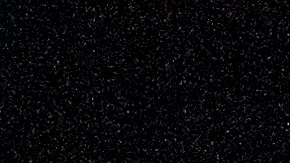 NASAs SpaceX Crew-5 Splashdown