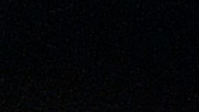 Haaland luego de anotar 5 goles en Champions League.