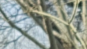 US-ABORTION-COURT-PILL