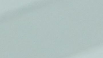 US-POLITICS-INTERNET