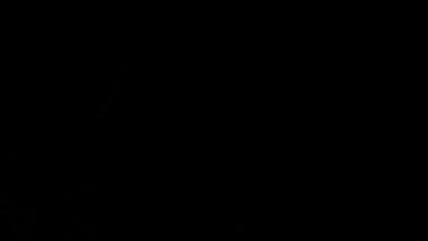 La empresaria Jennifer López sigue sorprendiendo con las atrevidas y sensuales fotos que comparte.