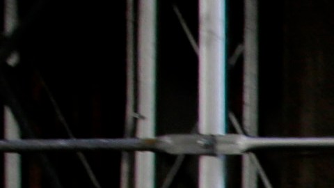 Fuentes policiales señalaron que las amenazas apuntan principalmente a la policía, los jueces y los funcionarios gubernamentales de Nueva York.