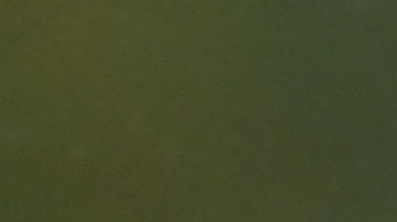 Leo Messi jugará su primer partido con Argentina tras ser campeón del mundo.