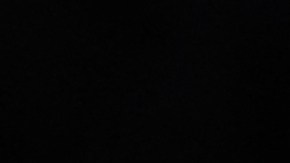 La selección argentina fue homenajeada por su afición en la doble fecha FIFA.