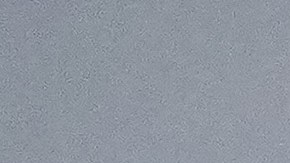 Ron DeSantis dijo que Florida "no ayudará en un pedido de extradición".