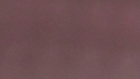 El lateral brasileño permanece internado en la prisión Brians II de Barcelona.