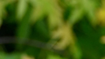 La modelo consideró que las acciones de su esposo fueron equivocadas y por eso pidió el divorcio.