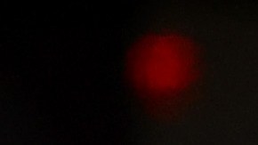 El peleador decidió unirse a la plataforma para poder mostrarle a sus aficionados el fuerte entrenamiento que realiza.