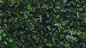 NEW YORK, NEW YORK - DECEMBER 07: Lele Pons and Guaynaa attend the 2021 Maestro Cares Gala at Cipriani Wall Street on December 7, 2021 in New York City. (Photo by Theo Wargo/Getty Images)