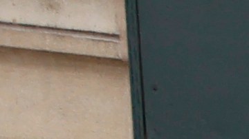 Banco de alimentos en Nueva York