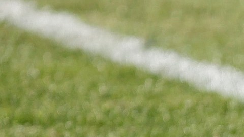 Desde hace siete años la NFL ha impulsado la inclusión de mujeres en la liga mediante el Foro Anual de Mujeres. / Foto: Getty Images