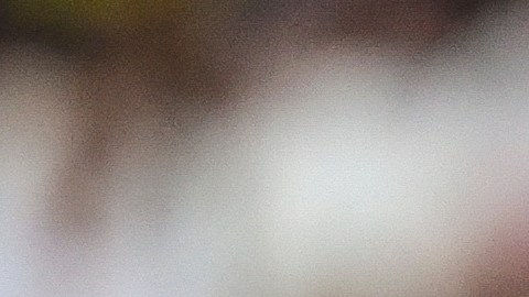 El FC Barcelona Femenil no ha tenido apuros en lo que va de campaña.