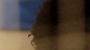 New York City FC celebrando un gol. Foto de Archivo.