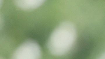 Georgina Rodríguez durante su llegada al festival de Venecia.