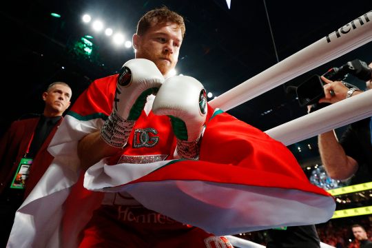 Canelo Álvarez ingresará más de $14,000,000 de dólares por la pelea en Guadalajara