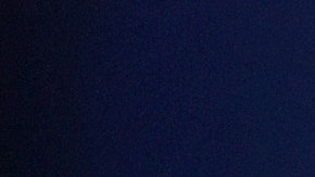 Vladimir Guerrero Jr.