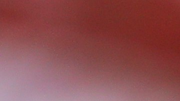 El exdirector deportivo de Chivas estuvo enfocado en colocar al argentino en el banquillo.