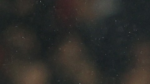 Santiago Giménez agradece a la fanaticada del Feyenoord por el apoyo.