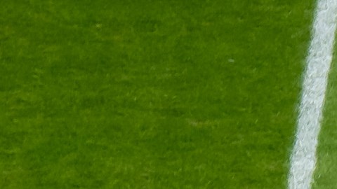 El partido del Salón de la Fama de la NF se realizará el 3 de agosto. / Foto: Getty Images