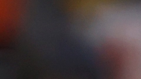 Gregg Berhalter sigue siendo candidato para dirigir el Team USA. / Foto: Getty Images