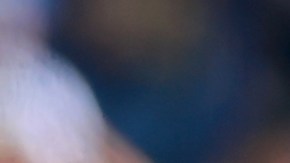 El hermano del lateral brasileño lanzó un nuevo mansaje de odio en sus redes sociales que parece ir destinado a su antigua cuñada.