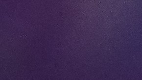 La luchadora logró superar el cáncer de piel que combatió luego de varios tratamientos.