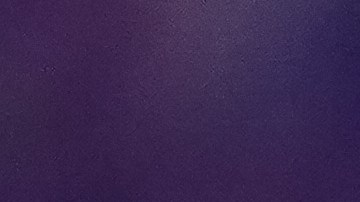 La luchadora logró superar el cáncer de piel que combatió luego de varios tratamientos.