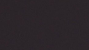 El cantante Marc Anthony y Nadia Ferreira se casaron el pasado 28 de enero en Miami.