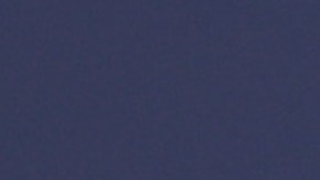 Alejandra Espinoza contrató a un especialista para que organizara la fiesta.