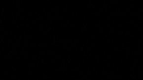 US And EU Ban TikTok From Staff Mobile Devices