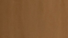 Diego Cocca concretó su primer entrenamiento con El Tri.