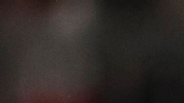 Fanático entrando al campo del Allianz Arena.