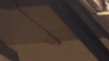 Los modelos actuales tienen puertas más anchas que fueron diseñadas para acelerar el abordaje.