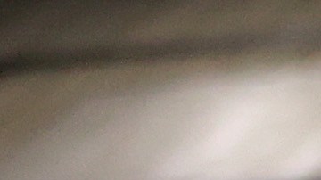 Haaland es el máximo goleador de Europa.