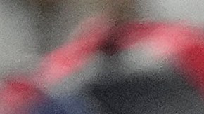 José Altuve celebra con Anthony Santander luego de anotar en el primer inning ante Puerto Rico.