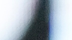 El receptor venezolano Salvador Pérez.