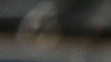 Los dirigidos por Jolbert Cabrera (L) y José Mosquera (R) cayeron en un cerrado encuentro.