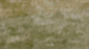 Otto López pisa el plato luego de disparar un cuadrangular ante la mirada del catcher colombiano Elías Díaz.