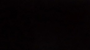 El estratega del Bayer Leverkusen le pidió a los jugadores tener calma en este nuevo proceso.